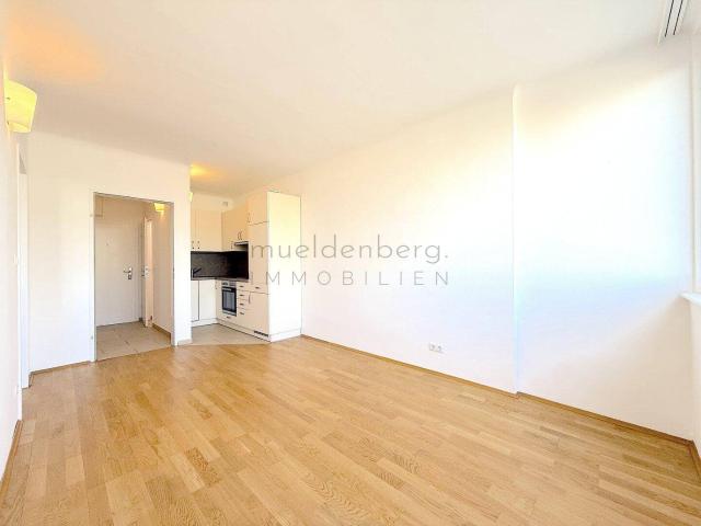 Apartment mieten in Innere Stadt, Wien