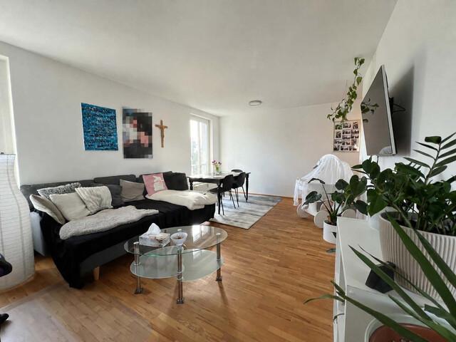 Apartment kaufen in Höchst, Vorarlberg