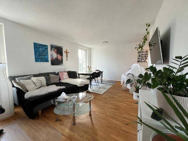Apartment kaufen in Höchst, Vorarlberg