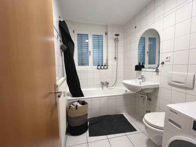 Wohnung kaufen in Höchst, Vorarlberg