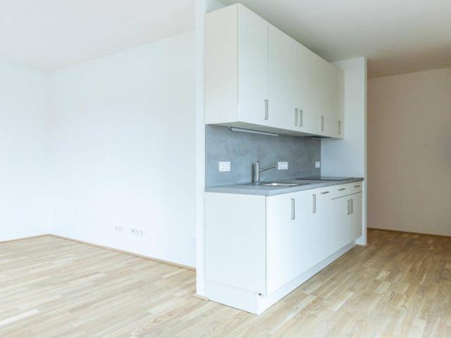 Apartment mieten in Neu-Penzing, Wien