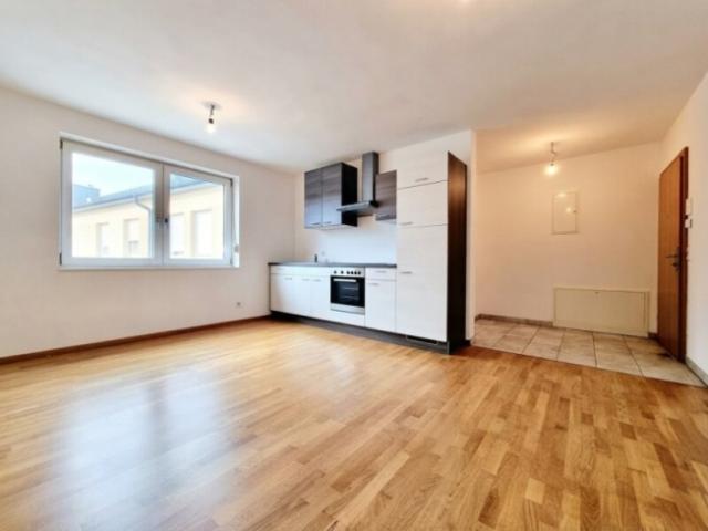 Wohnung mieten in Albrechtsberg an der Pielach, Loosdorf