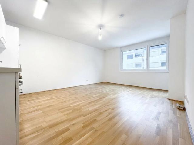 Apartment mieten in KG Innere Stadt, Wien