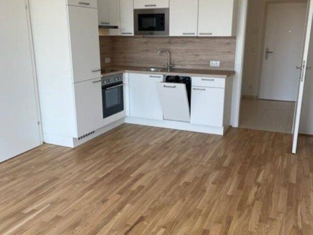 Apartment mieten in Donaustadt, Wien