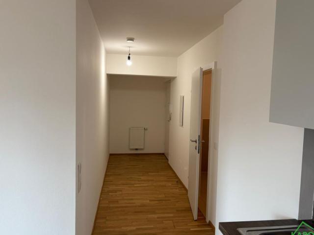 Wohnung mieten in Seestadt, Wien