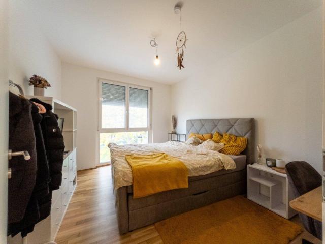 Apartment mieten in Katastralgemeinde Andritz, Graz