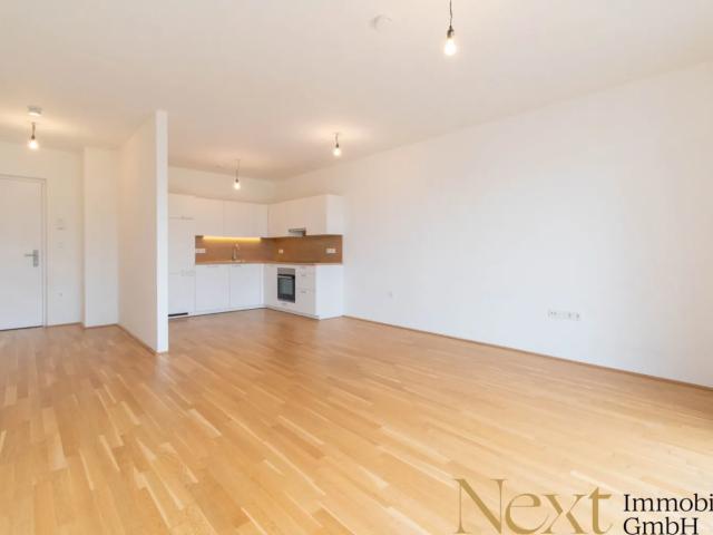 Apartment mieten in Altstadtviertel, Linz