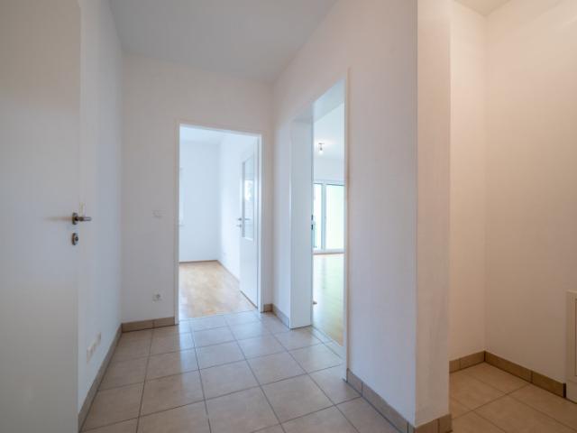 Wohnung mieten in Pöchlarn, Niederösterreich