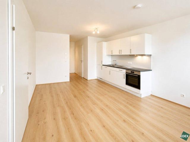Apartment mieten in KG Breitensee, Wien