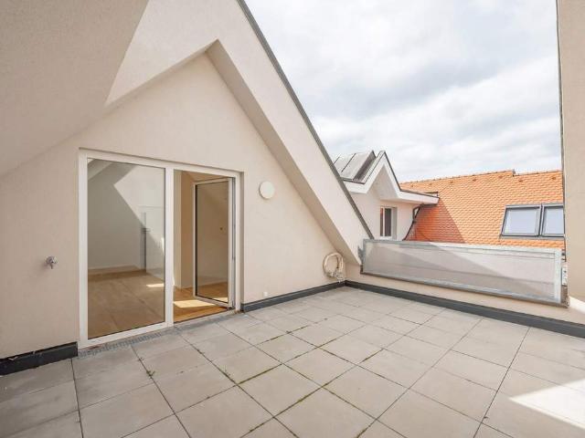 Wohnung kaufen in Gänserndorf, Niederösterreich