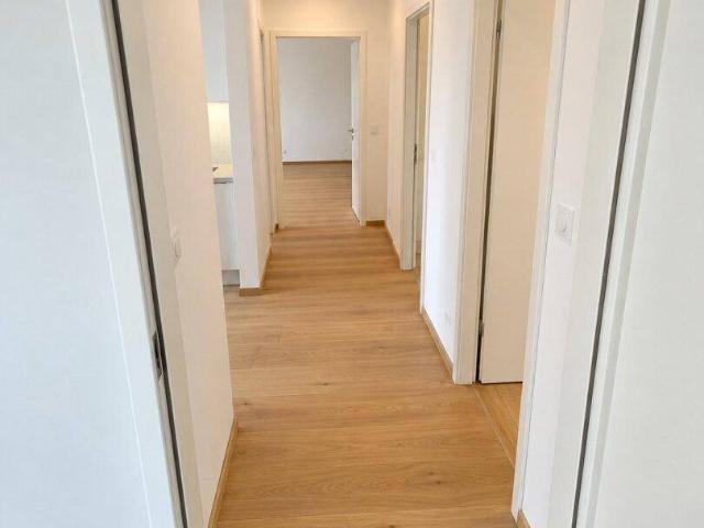 Apartment mieten in Liesing, Wien