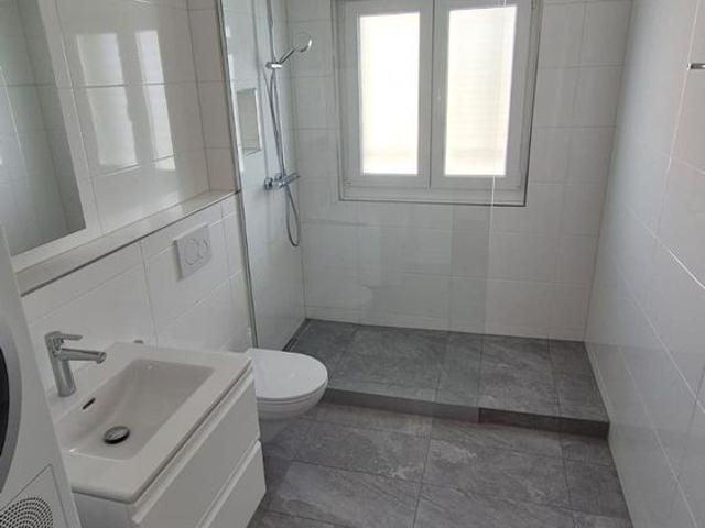 Apartment mieten in Stelzenacker, Dietikon