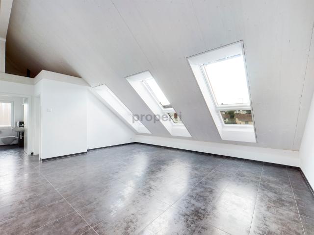 Attikawohnung mieten in Diessbach bei Büren, Bern