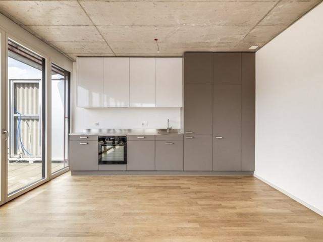 Apartment mieten in Aesch (BL), Basel-Landschaft