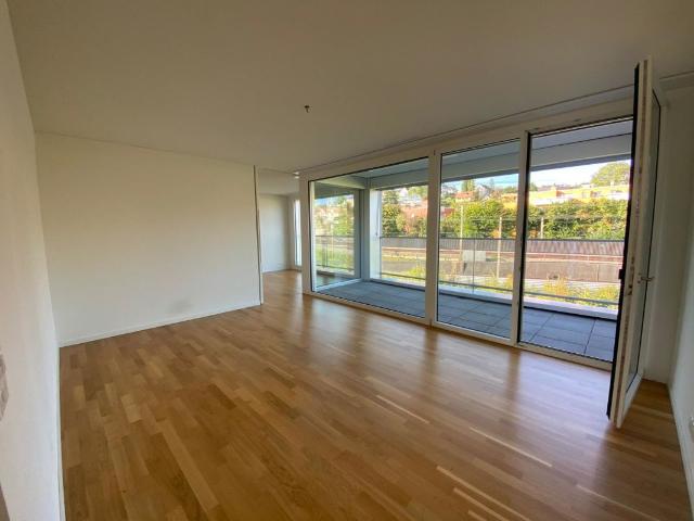Apartment mieten in Platte, Thalwil