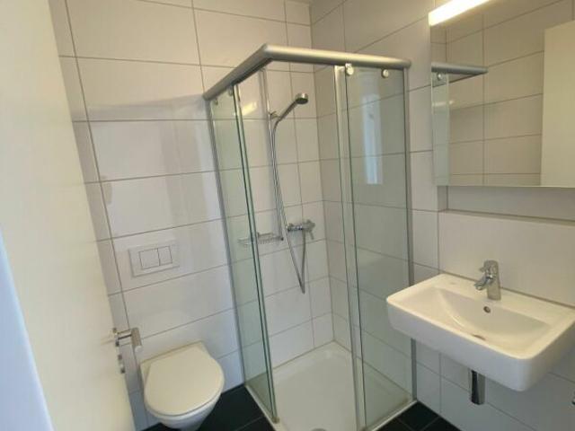 Apartment mieten in Platte, Thalwil