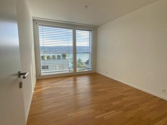 Apartment mieten in Platte, Thalwil