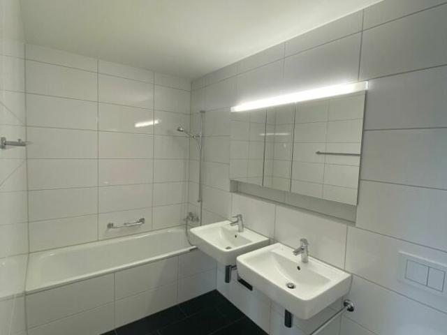 Apartment mieten in Platte, Thalwil