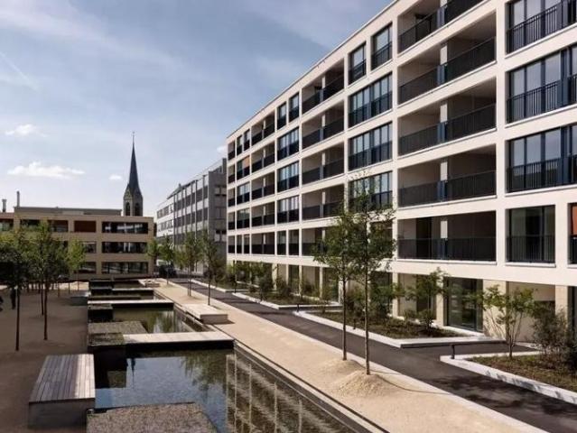 Apartment mieten in Pfäffikon (SZ), Zürich