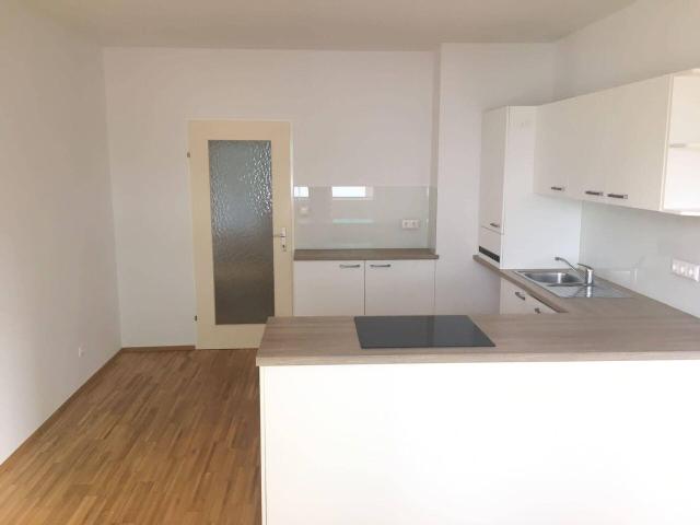 Apartment mieten in Biedermannsdorf