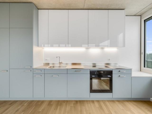 Apartment mieten in Aesch (BL), Basel-Landschaft