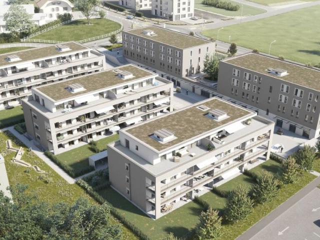 Wohnung mieten in Avenches