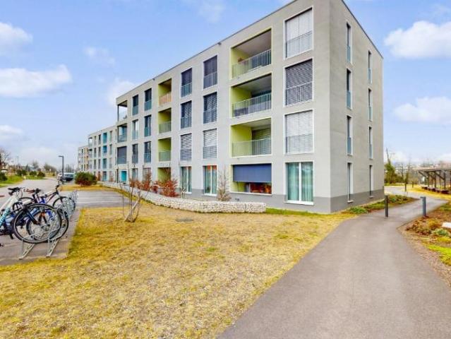 Apartment mieten in Rheinfelden, Aargau