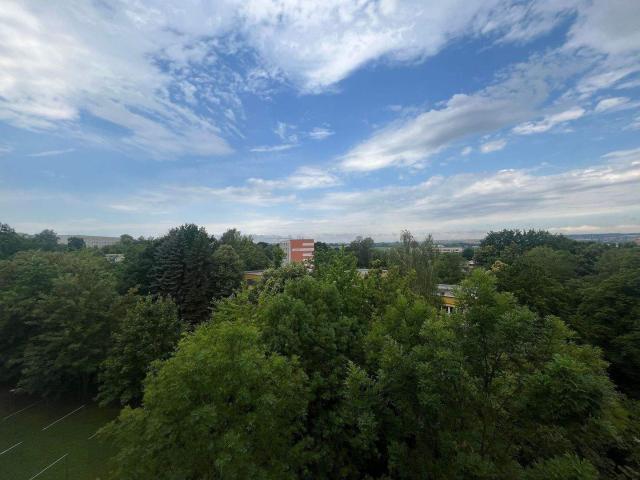 Apartment mieten in Neuplanitz, Zwickau