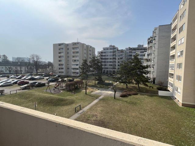 Apartment kaufen in Wiener Neustadt, Niederösterreich