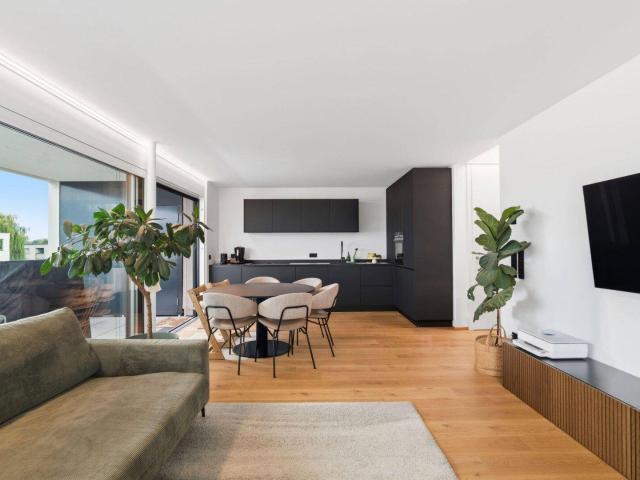 Apartment kaufen in Hard, Vorarlberg
