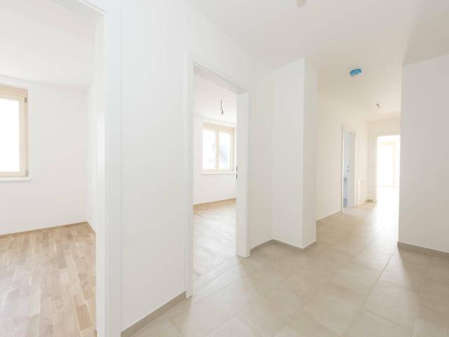Apartment kaufen in Kaindorf an der Sulm