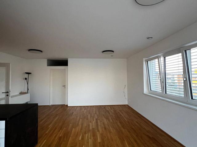 Apartment kaufen in Gartenstadt, Wels