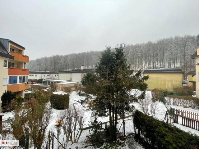 Apartment kaufen in Kreuzbrunn, Mauerbach