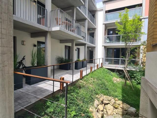 Apartment mieten in Pitten, Niederösterreich