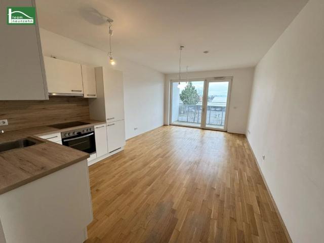 Apartment mieten in Wiener Neustadt, Niederösterreich