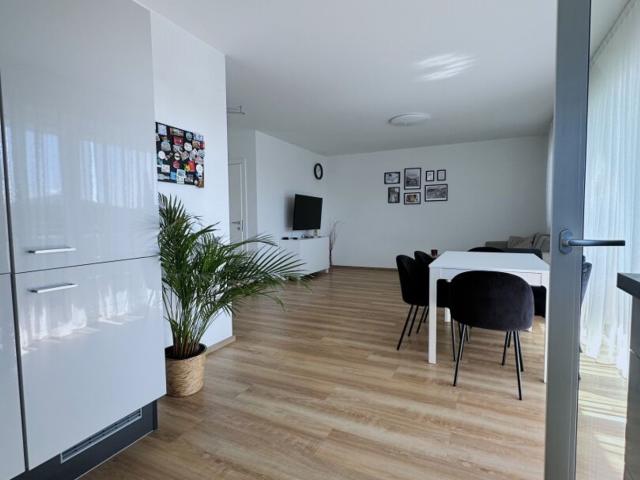 Wohnung kaufen in St. Martin im Innkreis, Oberösterreich