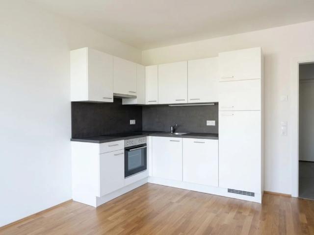 Apartment mieten in Katastralgemeinde Wetzelsdorf, Graz