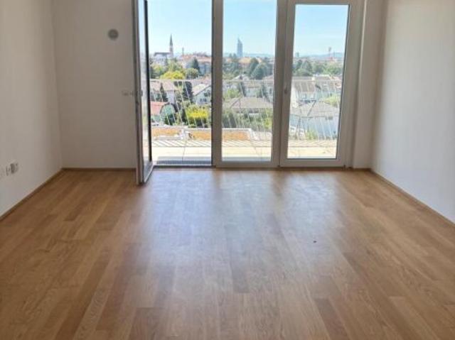 Dachgeschosswohnung kaufen in Wien