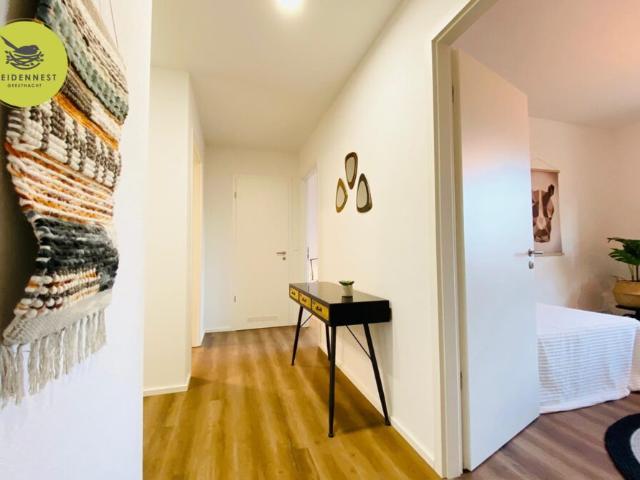 Apartment mieten in Besenhorst, Geesthacht