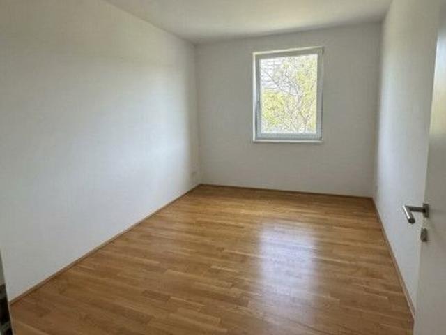 Apartment mieten in Katastralgemeinde Murfeld, Graz