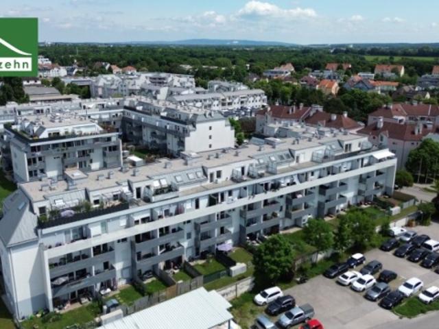 Wohnung mieten in Wiener Neustadt, Niederösterreich
