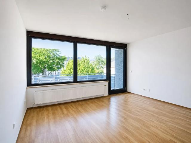 Apartment mieten in Steinrode, Thüringen
