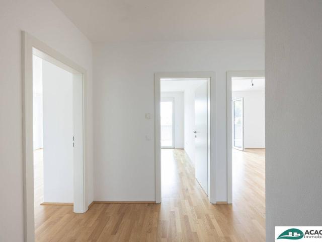 Apartment mieten in Gollarn, Sieghartskirchen