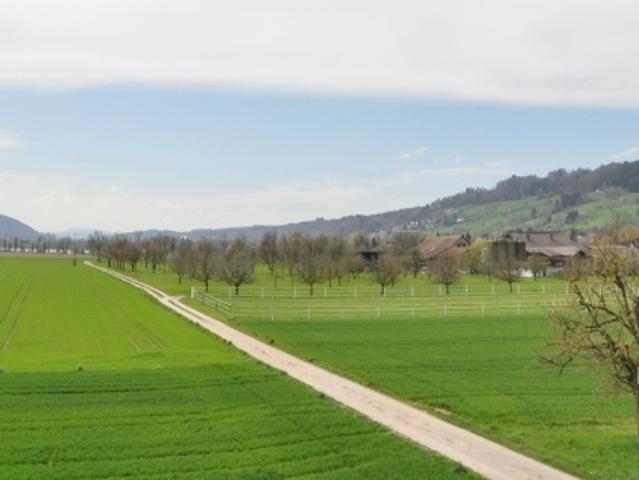 Dachwohnung mieten in Full-Reuenthal