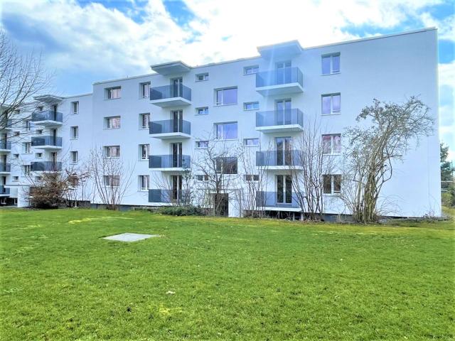Apartment mieten in Niedergösgen, Solothurn