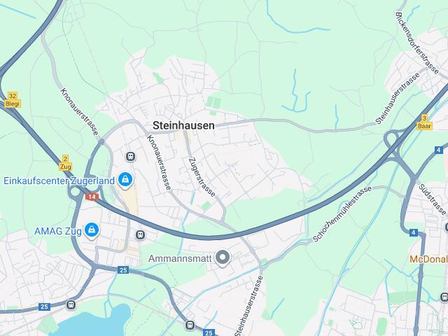 Wohnung kaufen in Steinhausen