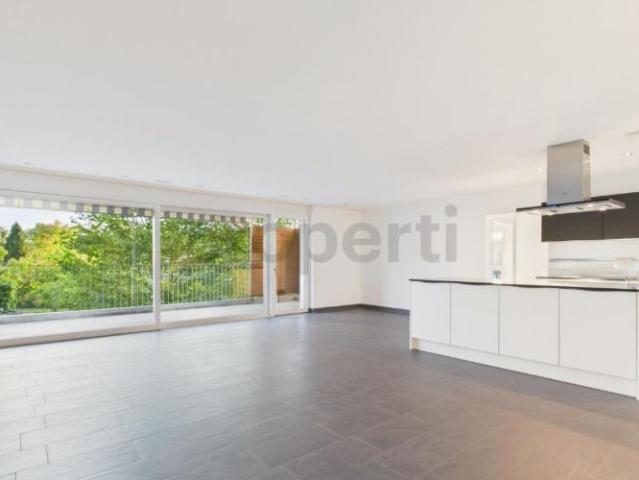 Apartment mieten in Dachsen, Zürich