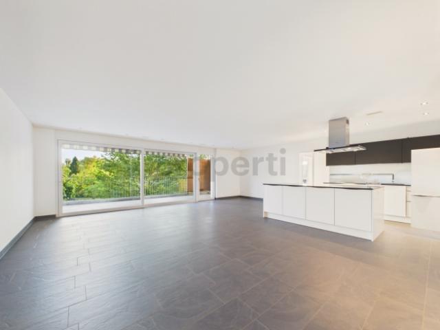 Wohnung mieten in Dachsen, Zürich