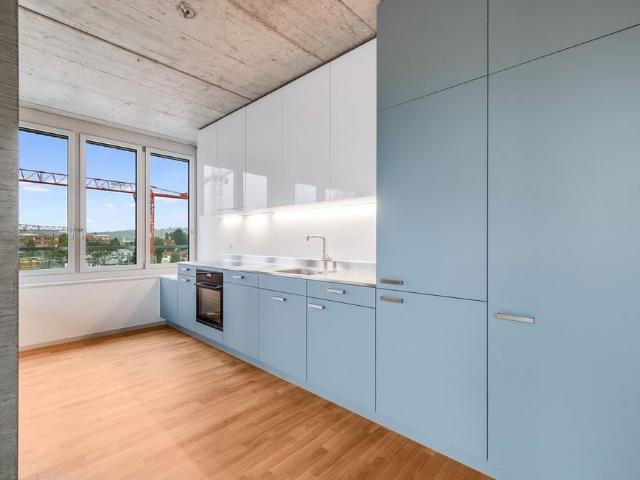 Apartment mieten in Reinach (BL), Basel-Landschaft