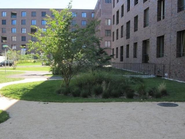 Apartment mieten in Grossbasel, Basel
